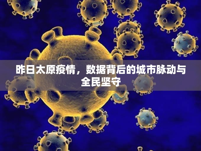 昨日太原疫情，数据背后的城市脉动与全民坚守