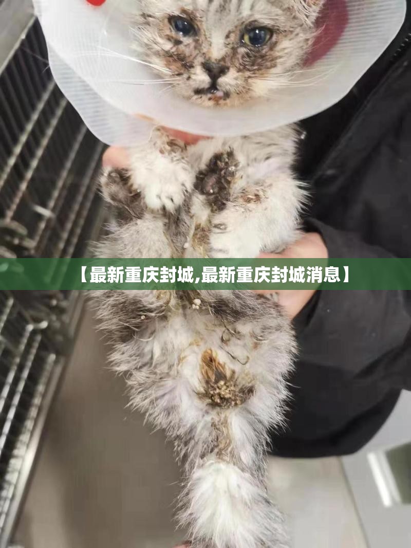 【最新重庆封城,最新重庆封城消息】