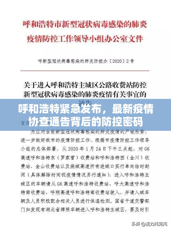 呼和浩特紧急发布，最新疫情协查通告背后的防控密码