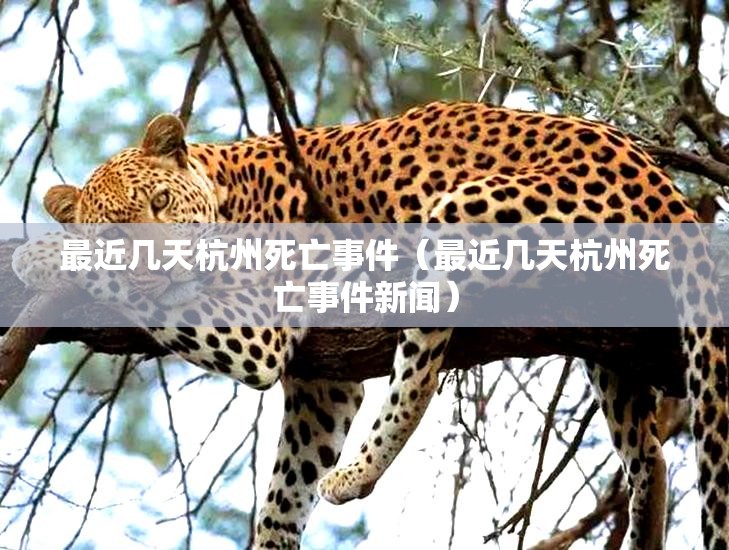 最近几天杭州死亡事件（最近几天杭州死亡事件新闻）