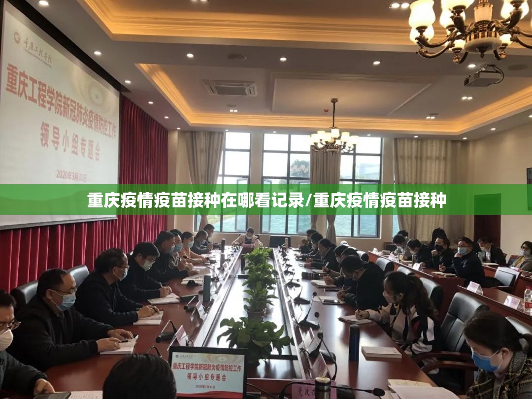 重庆疫情疫苗接种在哪看记录/重庆疫情疫苗接种
