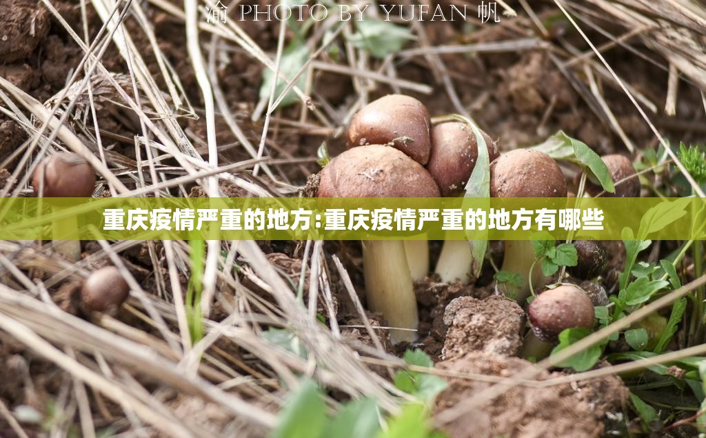 重庆疫情严重的地方:重庆疫情严重的地方有哪些