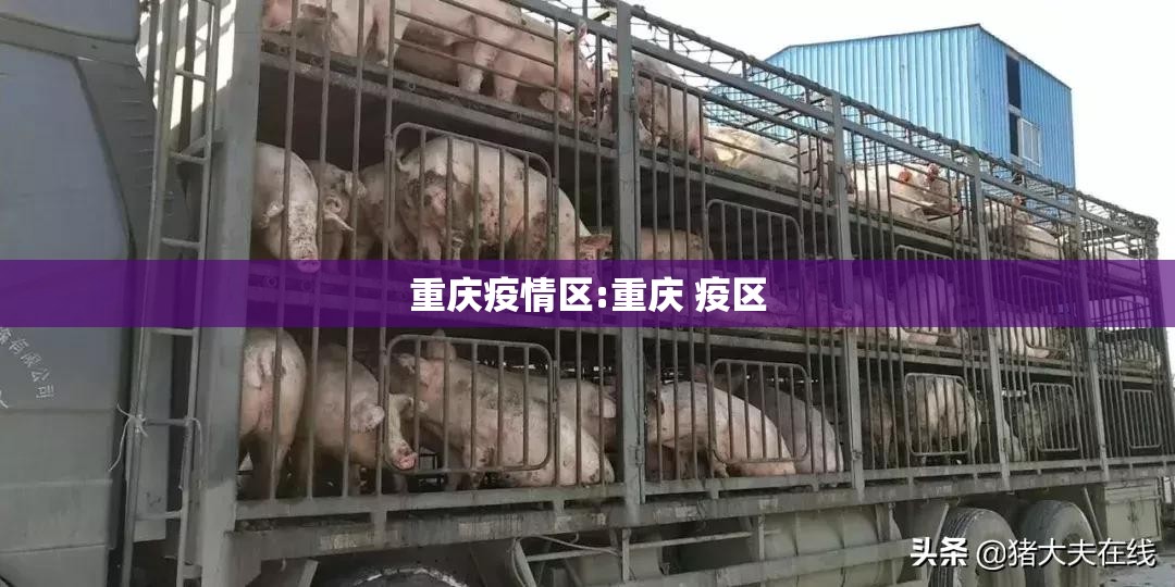 重庆疫情区:重庆 疫区