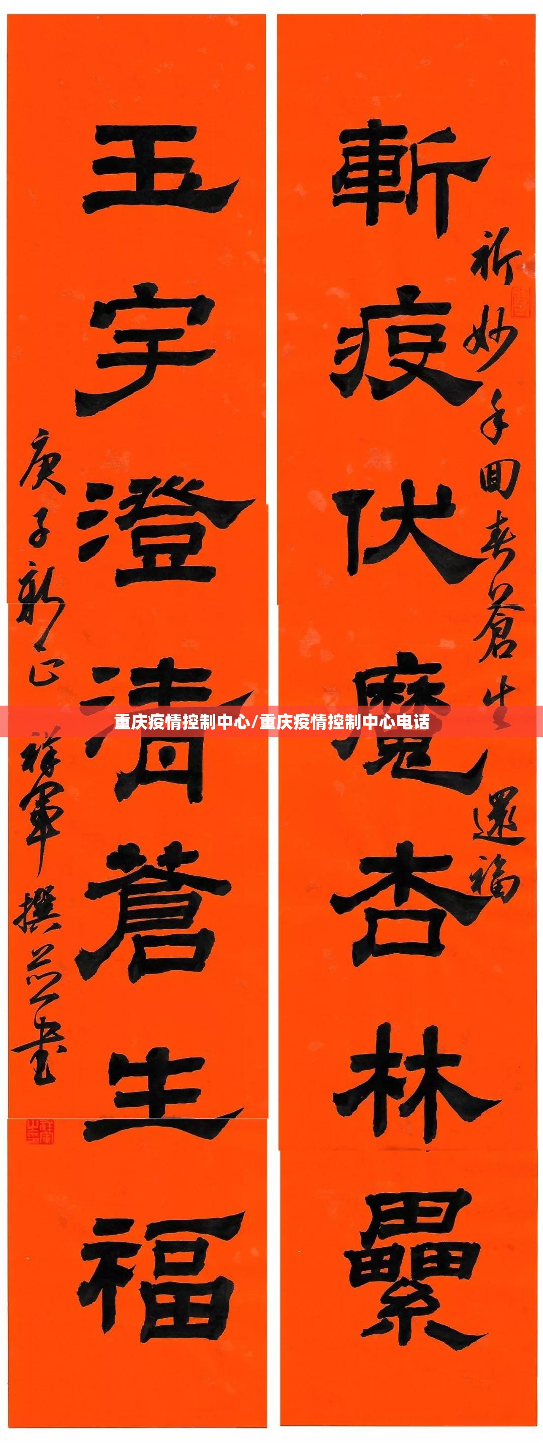 重庆疫情控制中心/重庆疫情控制中心电话