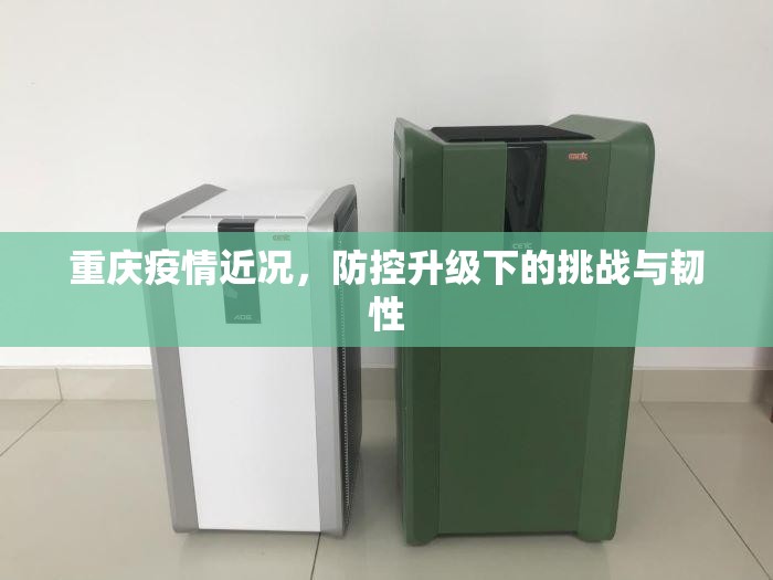 重庆疫情近况，防控升级下的挑战与韧性