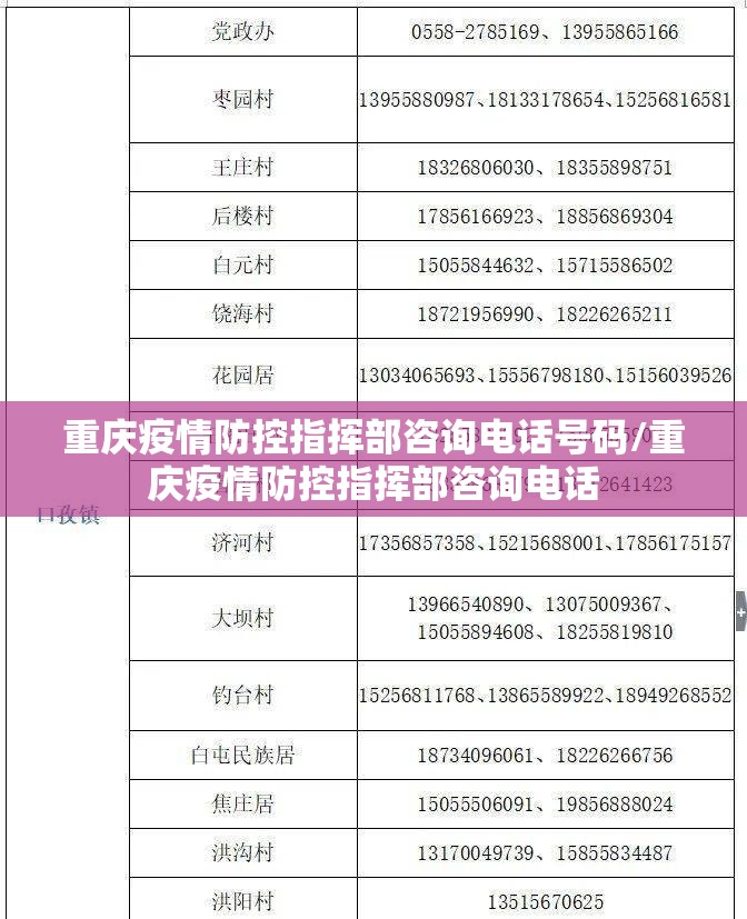 重庆疫情防控指挥部咨询电话号码/重庆疫情防控指挥部咨询电话