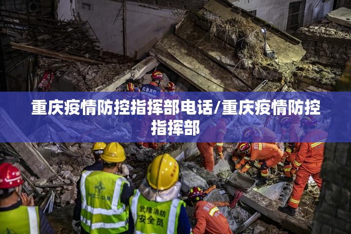 重庆疫情防控指挥部电话/重庆疫情防控指挥部