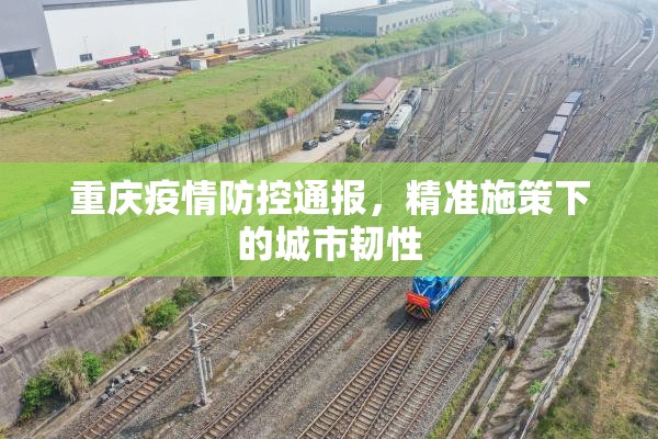 重庆疫情防控通报，精准施策下的城市韧性