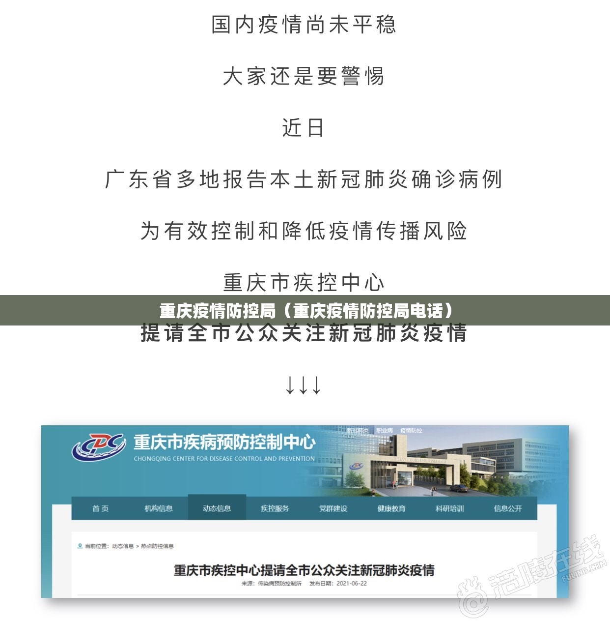 重庆疫情防控局（重庆疫情防控局电话）