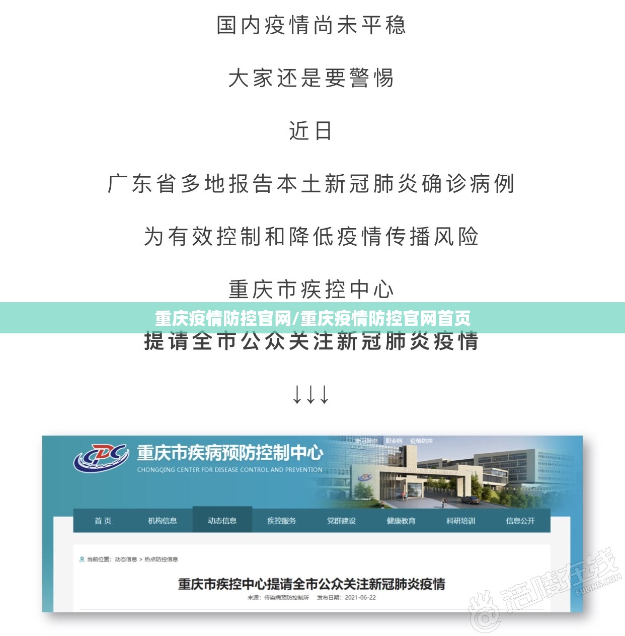 重庆疫情防控官网/重庆疫情防控官网首页