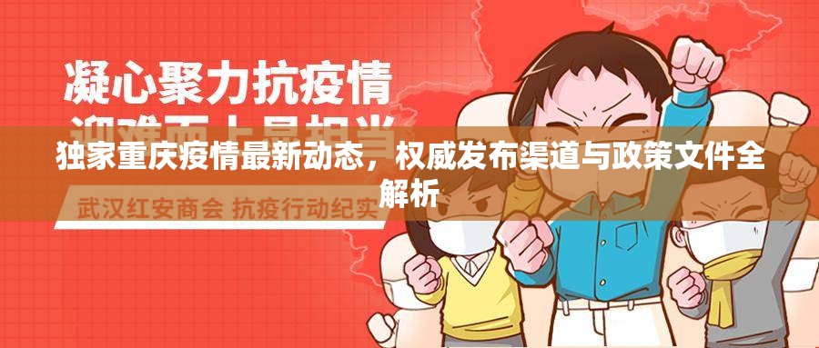 独家重庆疫情最新动态，权威发布渠道与政策文件全解析