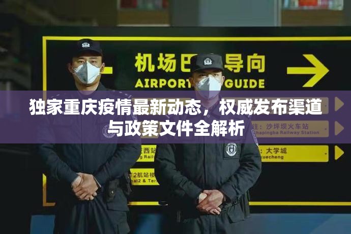 独家重庆疫情最新动态，权威发布渠道与政策文件全解析