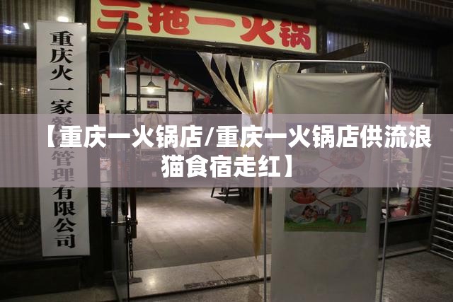 【重庆一火锅店/重庆一火锅店供流浪猫食宿走红】