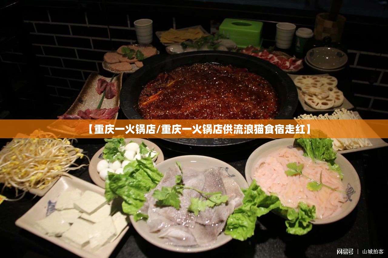 【重庆一火锅店/重庆一火锅店供流浪猫食宿走红】