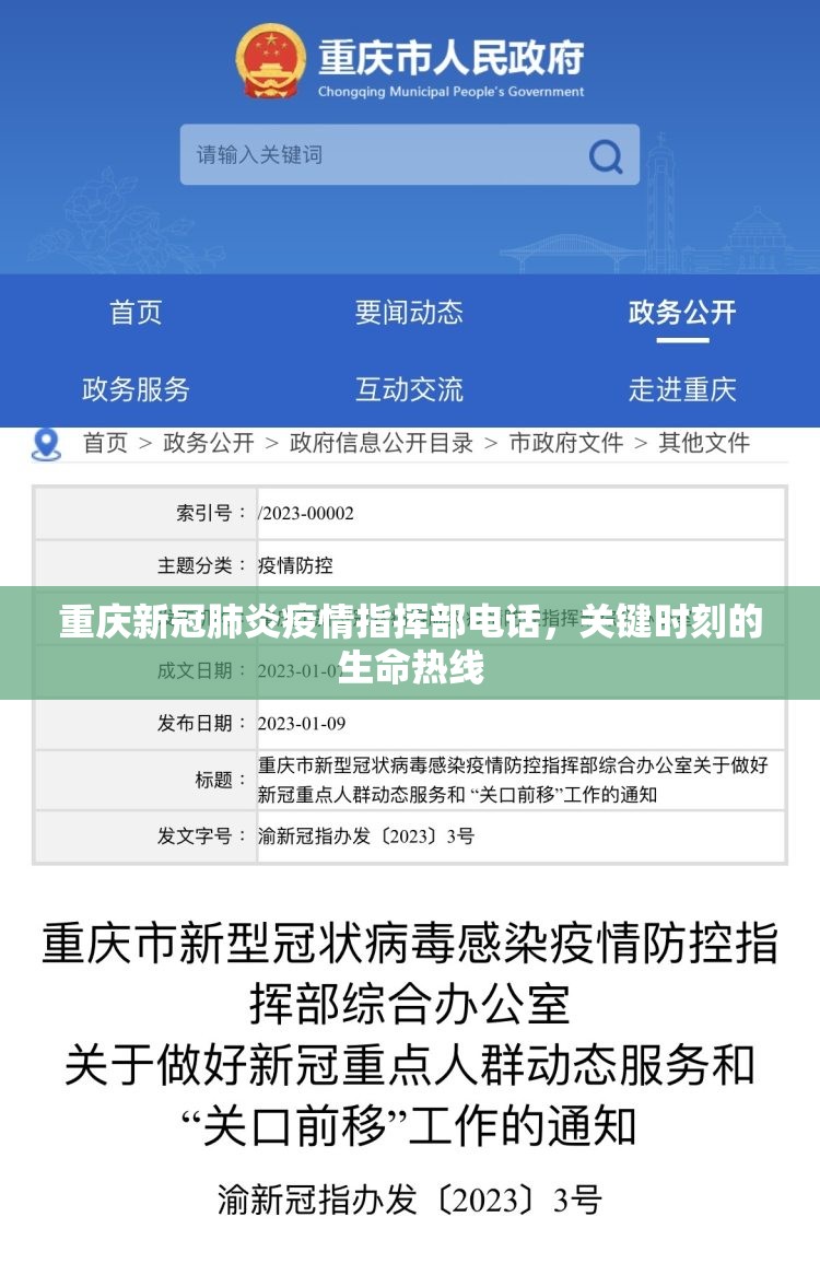 重庆新冠肺炎疫情指挥部电话，关键时刻的生命热线