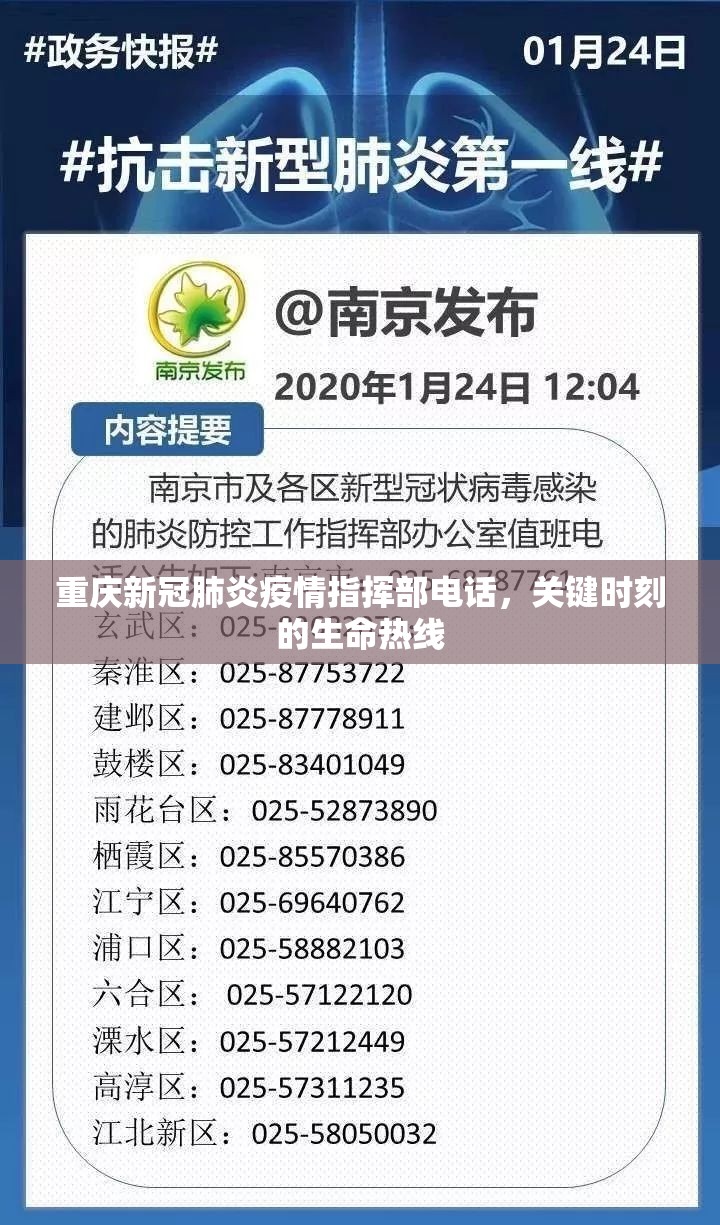 重庆新冠肺炎疫情指挥部电话，关键时刻的生命热线