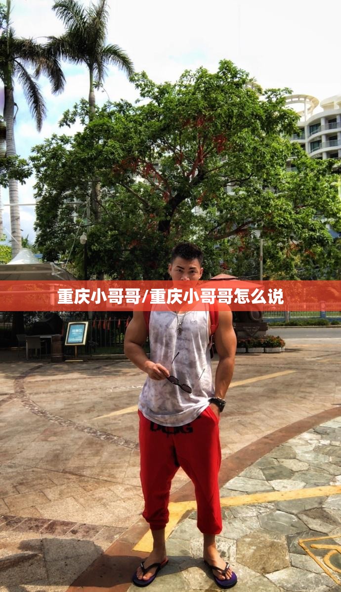 重庆小哥哥/重庆小哥哥怎么说