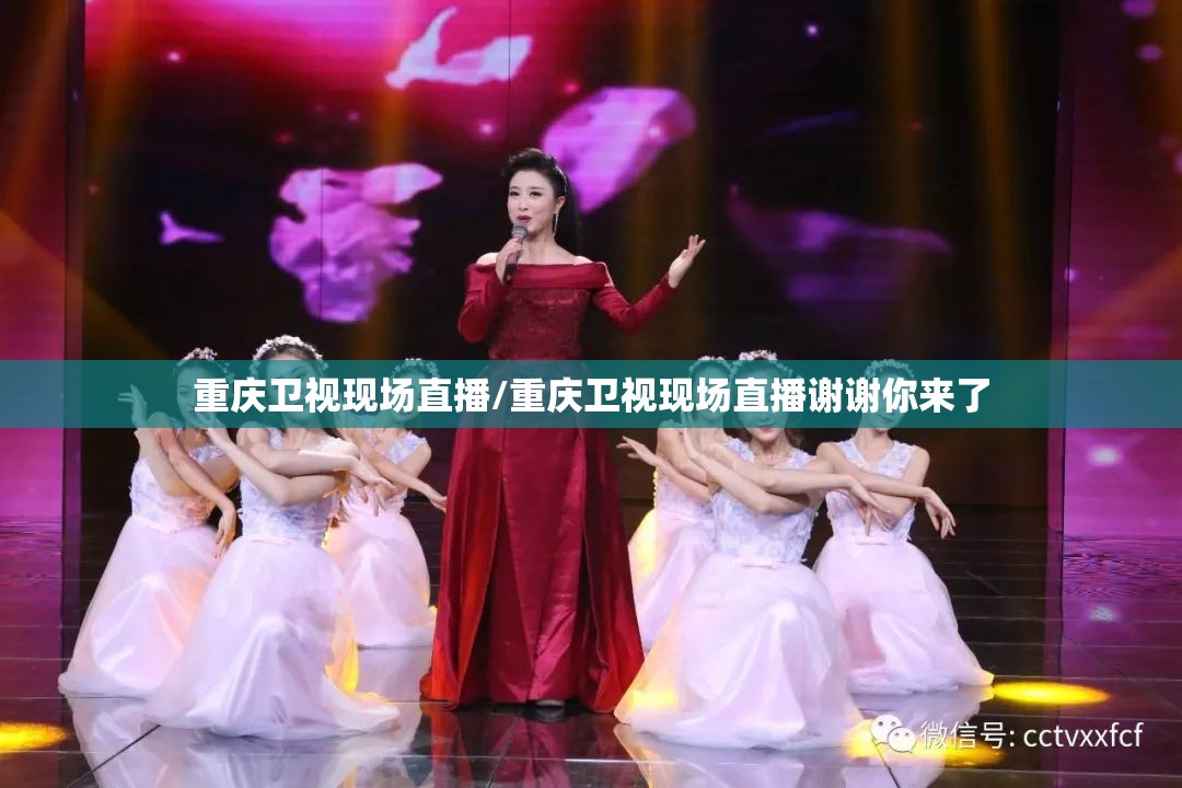 重庆卫视现场直播/重庆卫视现场直播谢谢你来了