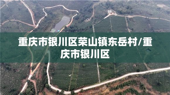重庆市银川区荣山镇东岳村/重庆市银川区