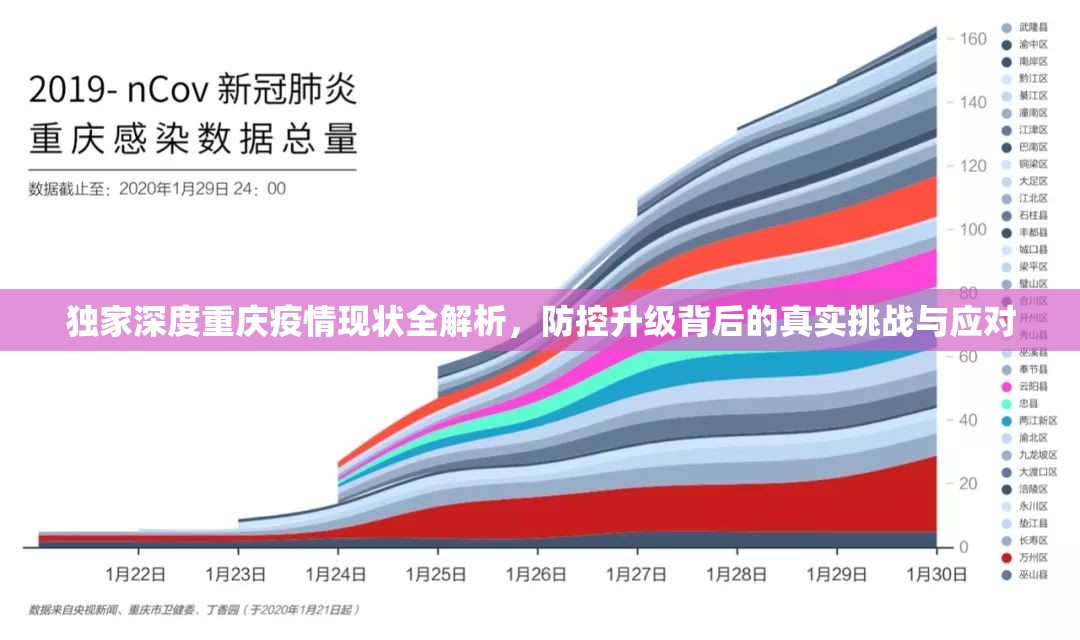独家深度重庆疫情现状全解析，防控升级背后的真实挑战与应对