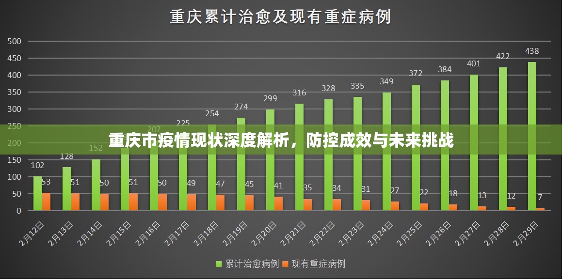 重庆市疫情现状深度解析，防控成效与未来挑战
