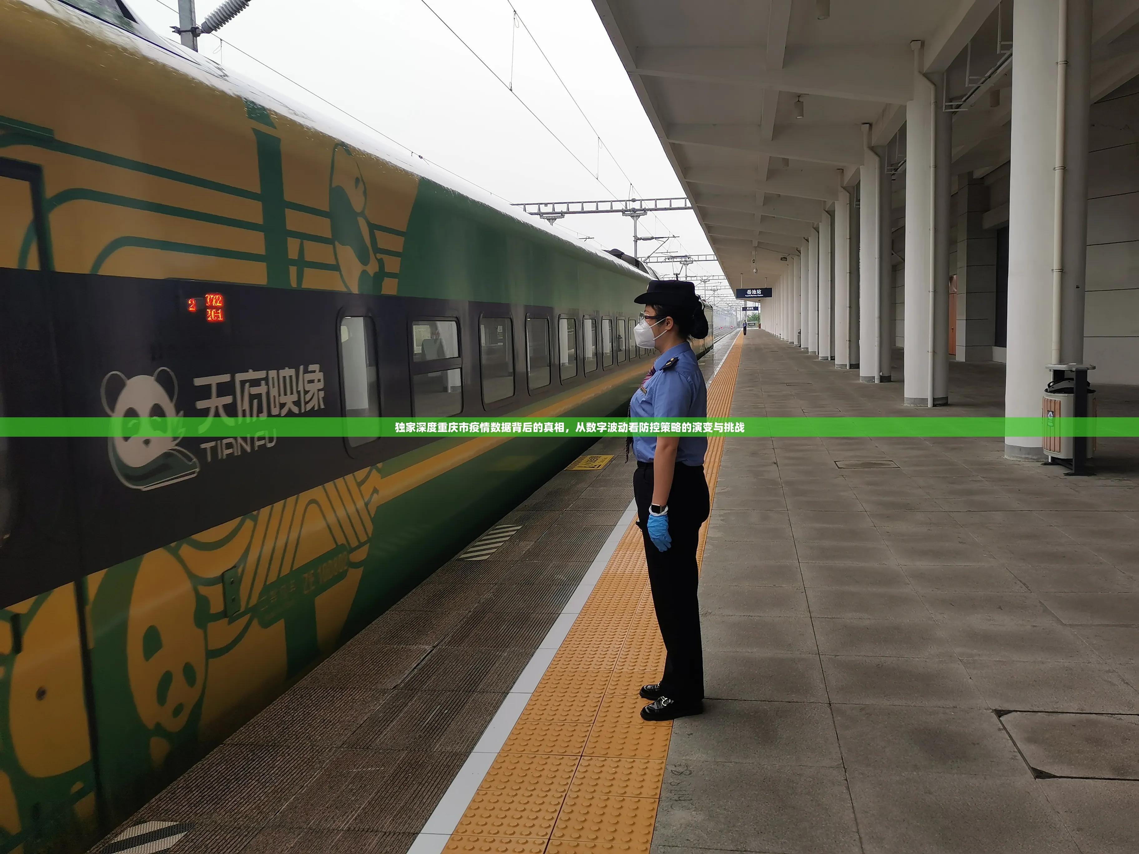 独家深度重庆市疫情数据背后的真相，从数字波动看防控策略的演变与挑战