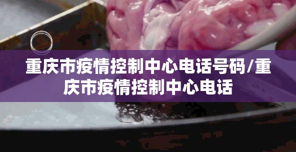 重庆市疫情控制中心电话号码/重庆市疫情控制中心电话
