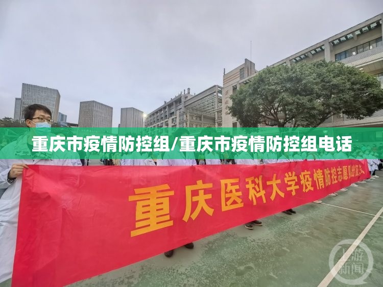 重庆市疫情防控组/重庆市疫情防控组电话