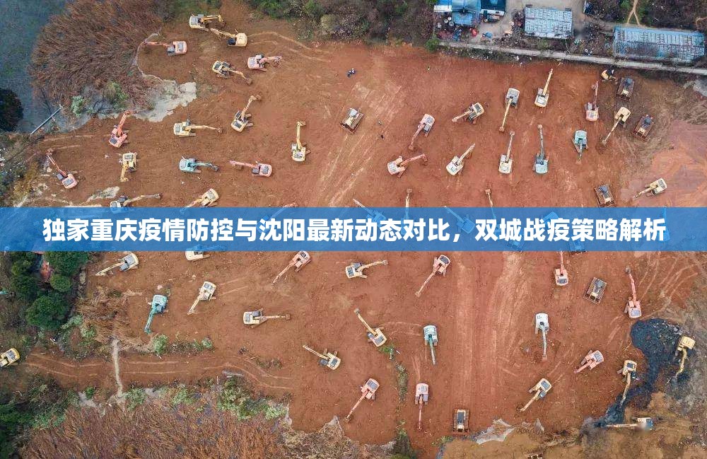 独家重庆疫情防控与沈阳最新动态对比，双城战疫策略解析