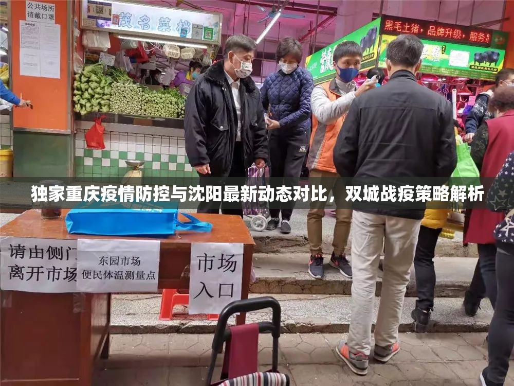 独家重庆疫情防控与沈阳最新动态对比，双城战疫策略解析