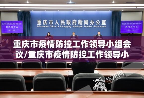 重庆市疫情防控工作领导小组会议/重庆市疫情防控工作领导小组会议纪要
