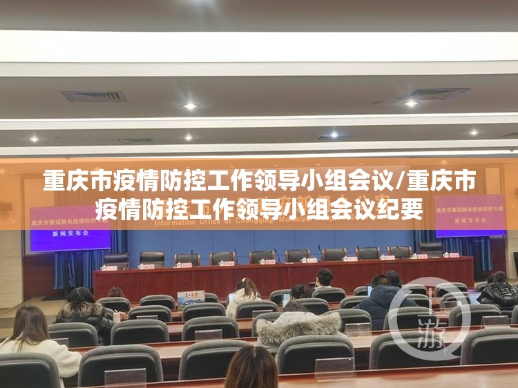 重庆市疫情防控工作领导小组会议/重庆市疫情防控工作领导小组会议纪要