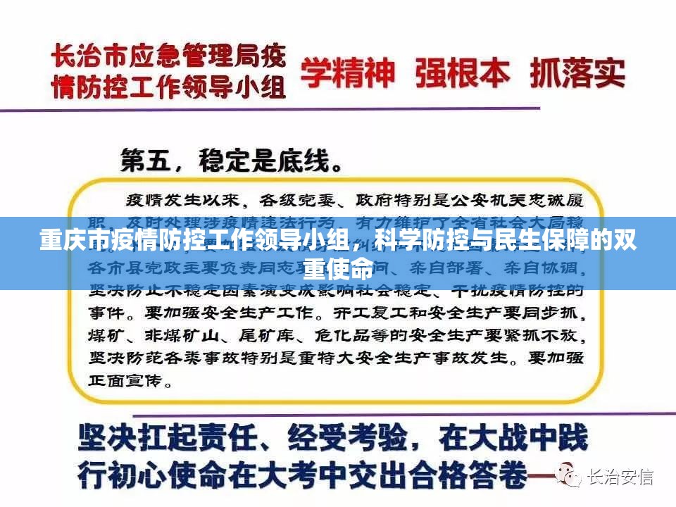重庆市疫情防控工作领导小组，科学防控与民生保障的双重使命
