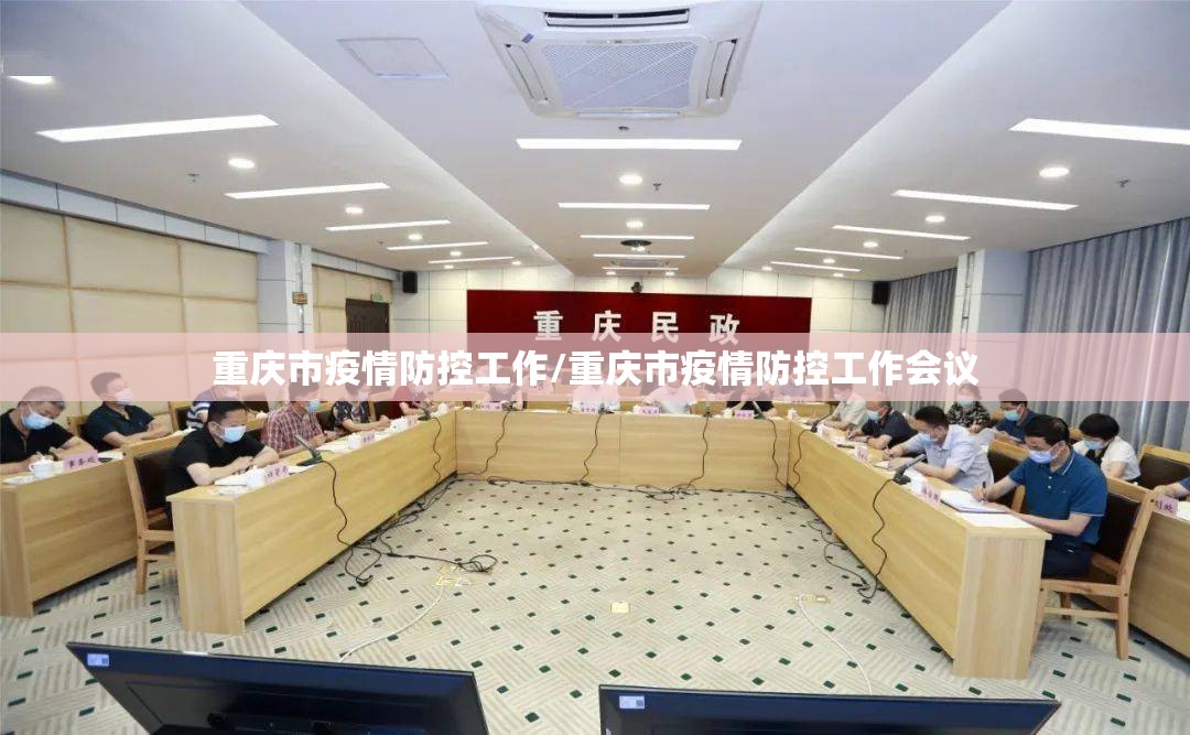 重庆市疫情防控工作/重庆市疫情防控工作会议