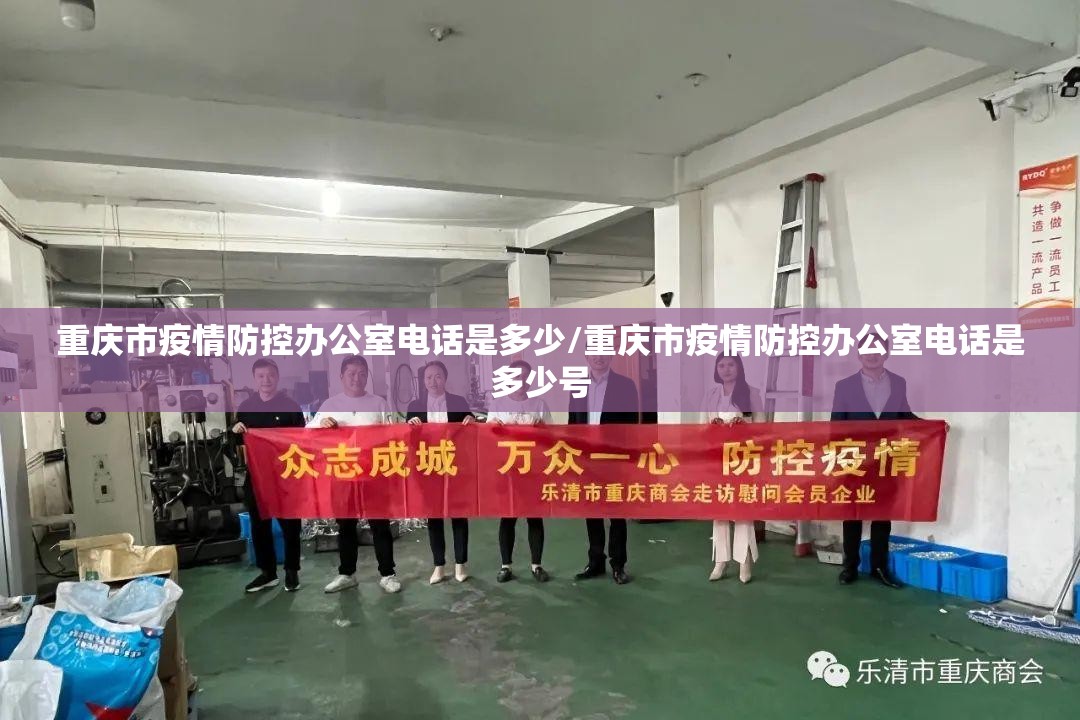 重庆市疫情防控办公室电话是多少/重庆市疫情防控办公室电话是多少号