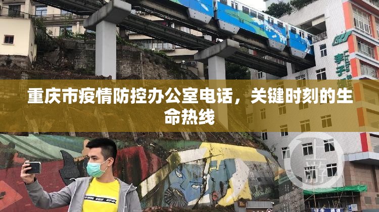 重庆市疫情防控办公室电话，关键时刻的生命热线