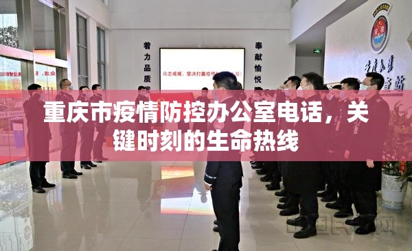 重庆市疫情防控办公室电话，关键时刻的生命热线