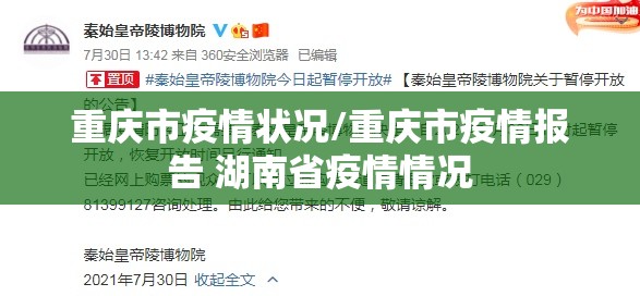 重庆市疫情状况/重庆市疫情报告 湖南省疫情情况