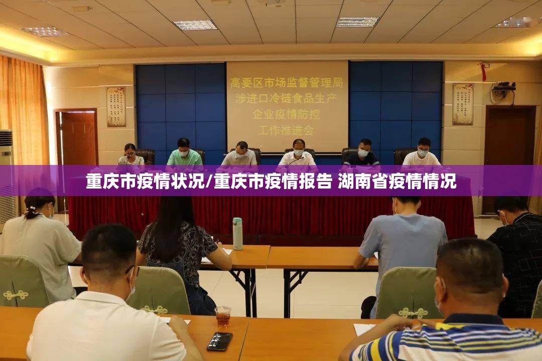 重庆市疫情状况/重庆市疫情报告 湖南省疫情情况