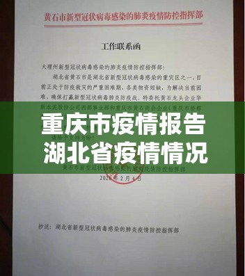重庆市疫情报告 湖北省疫情情况/重庆市疫情情况?