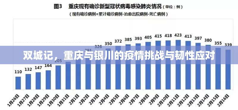 双城记，重庆与银川的疫情挑战与韧性应对