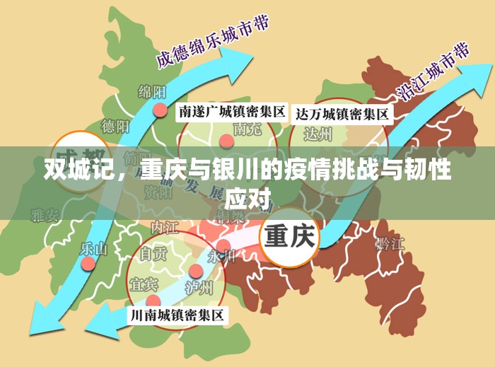 双城记，重庆与银川的疫情挑战与韧性应对
