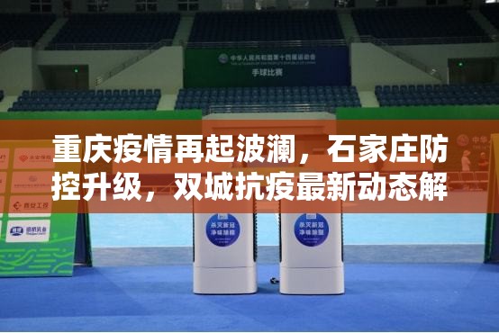 重庆疫情再起波澜，石家庄防控升级，双城抗疫最新动态解析