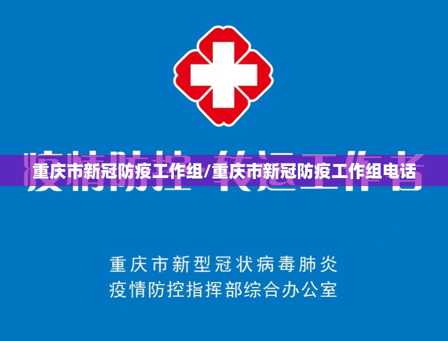重庆市新冠防疫工作组/重庆市新冠防疫工作组电话