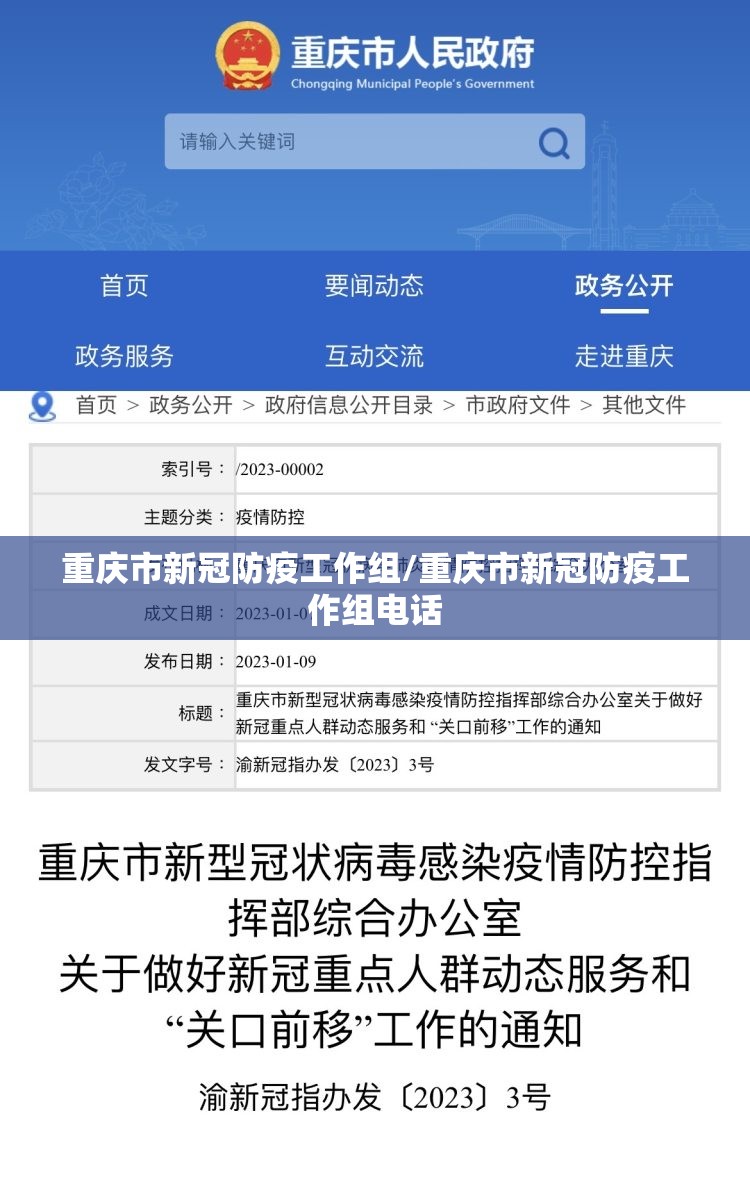 重庆市新冠防疫工作组/重庆市新冠防疫工作组电话
