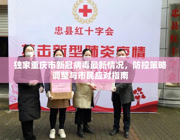 独家重庆市新冠病毒最新情况，防控策略调整与市民应对指南