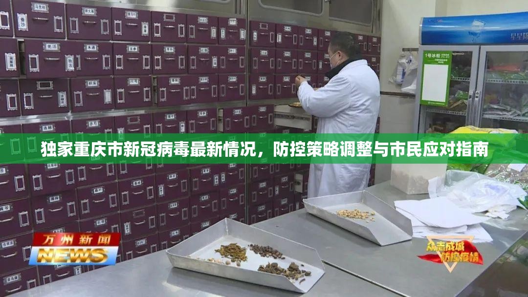 独家重庆市新冠病毒最新情况，防控策略调整与市民应对指南