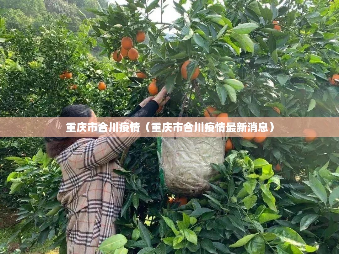 重庆市合川疫情（重庆市合川疫情最新消息）