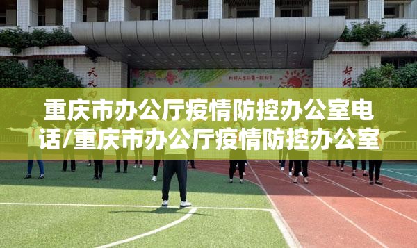 重庆市办公厅疫情防控办公室电话/重庆市办公厅疫情防控办公室