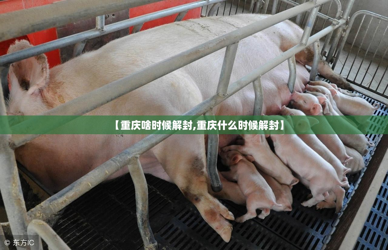 【重庆啥时候解封,重庆什么时候解封】
